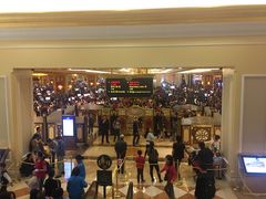 -星巴克(威尼斯人店)