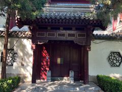 -团结湖公园