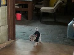 -酷鱼垂钓CLUB(朝阳区博大路店 )