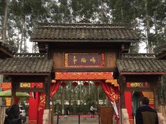 -秀丽东方