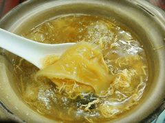 招牌花胶海参煲仔翅-添發碗仔翅美食