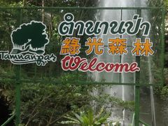 -绿光森林餐厅