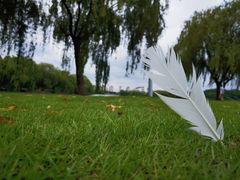 -东华大学(松江校区)