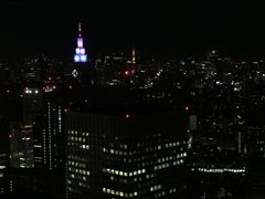 -东京都厅舍