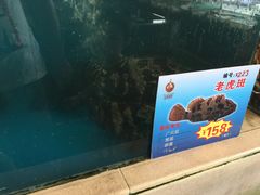 -海景壹号大酒店(惠钱路店)