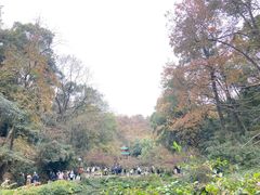 -岳麓山风景名胜区