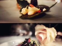 -蝶舍·MAISON PAPILLON