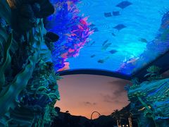 -珠海长隆海洋王国