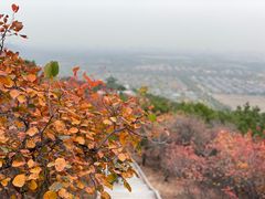 -北京西山国家森林公园