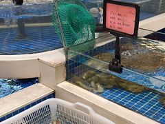 -渔人码头(中南店)