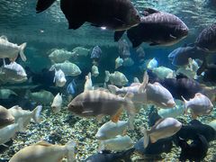 -成都浩海立方海洋公园