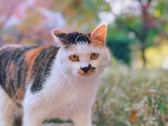 -苏州河梦清园环保主题公园