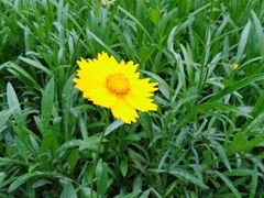 -白塘生态植物园