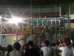 -西安秦岭野生动物园