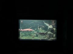 -南昌融创海世界