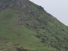 -嵛山岛
