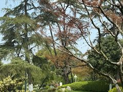 -浙江西子宾馆·牡丹厅