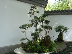-成都杜甫草堂博物馆