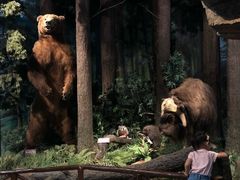 -陕西自然博物馆