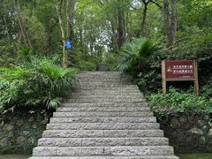 -南京老山国家森林公园