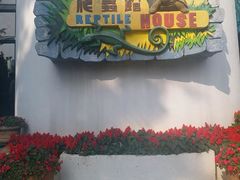 -屯门公园