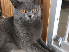 -Catmate·猫肥家润(金润铂宫店)