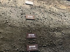 -隋唐大运河文化博物馆
