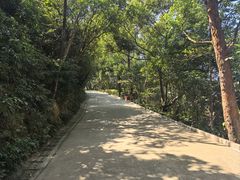 -小南山公园