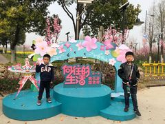 -田园东方蜜桃村的田野营地