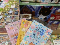 -猫的天空之城概念书店(印象城购物中心店)