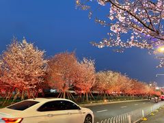 -六贤记(文三店)