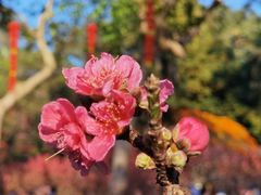 -桃花涧