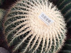 -南通洲际绿博园