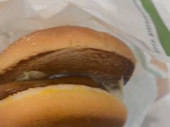 -麦当劳(鄂尔多斯机场店)