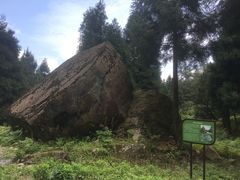 -重庆睡佛山森林公园