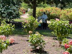 -中国科学院西双版纳热带植物园