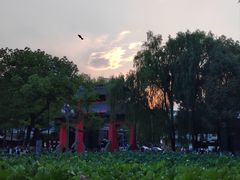 -麦当劳(磨子桥店)