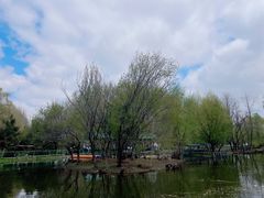 -长白岛森林公园