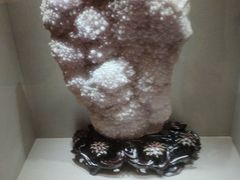 -陕西自然博物馆