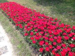 上海鲜花港-上海鲜花港