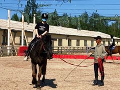 -北京群众马术培训基地