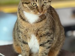 -黑土人家(江桥万达广场店)