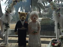 -济州岛泰迪熊博物馆