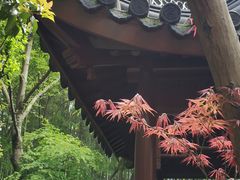 -汇龙潭