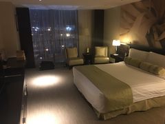 -国家会议中心大酒店