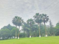 -龙头寺公园