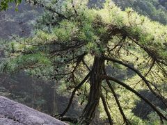 -鄣山大峡谷