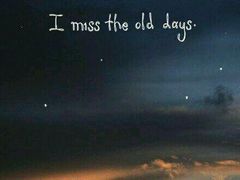 -龙兴·动物奶油生日蛋糕(龙北店)