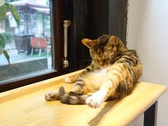 -猫的天空之城概念书店(杭州南宋御街店)