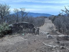 -安吉龙王山风景区